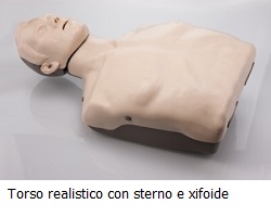 Estremamente realistico, con gabbia toracica, sterno e xifoide Estremamente realistico, con gabbia toracica, sterno e xifoide