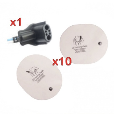 Kit Cavo + 10 Coppie di Elettrodi per AED Trainer MEDIANA