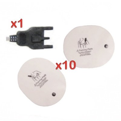 Kit Cavo + 10 Coppie di Elettrodi per AED Trainer TECNO-GAZ