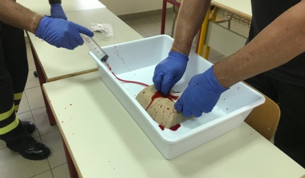 La pratica rende perfetti: la memoria muscolare nella formazione medica