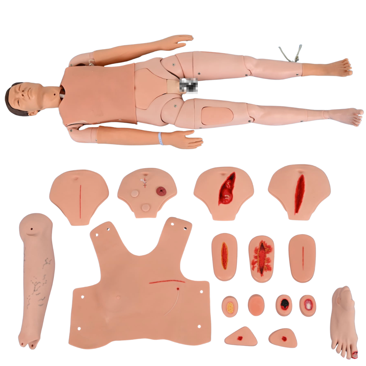 Manichino Corpo Intero per assistenza di base