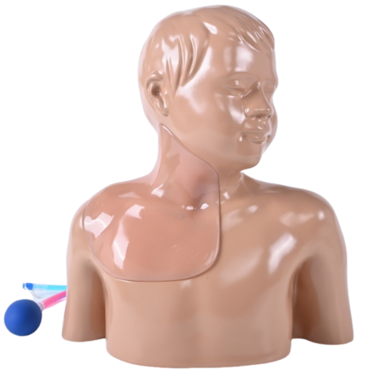 Simulatore Medico ecografabile Pediatrico per CVC e Anestesia Regionale