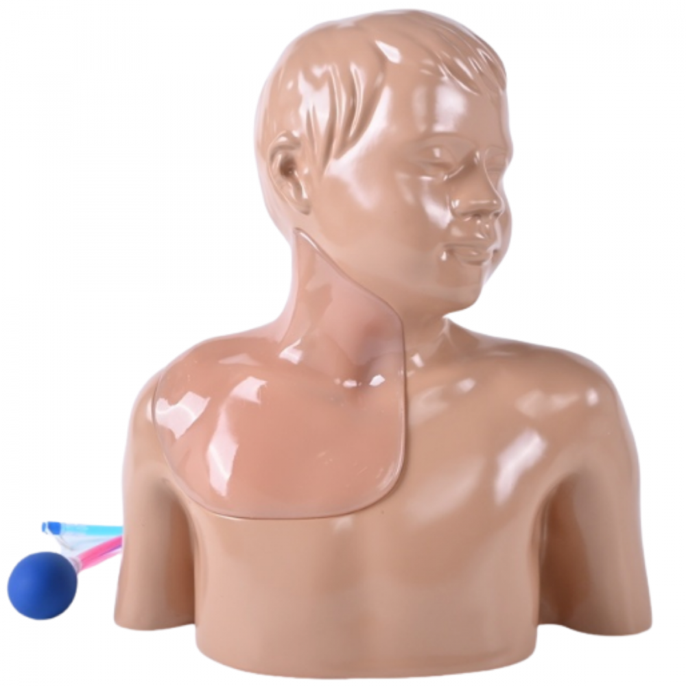 Simulatore Medico ecografabile Pediatrico per CVC e Anestesia Regionale