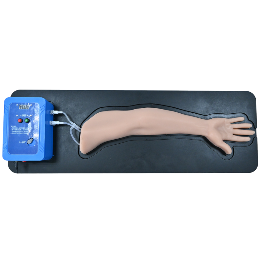 Simulatore Medico ecografabile per Accessi Arteriosi con circolo sanguigno