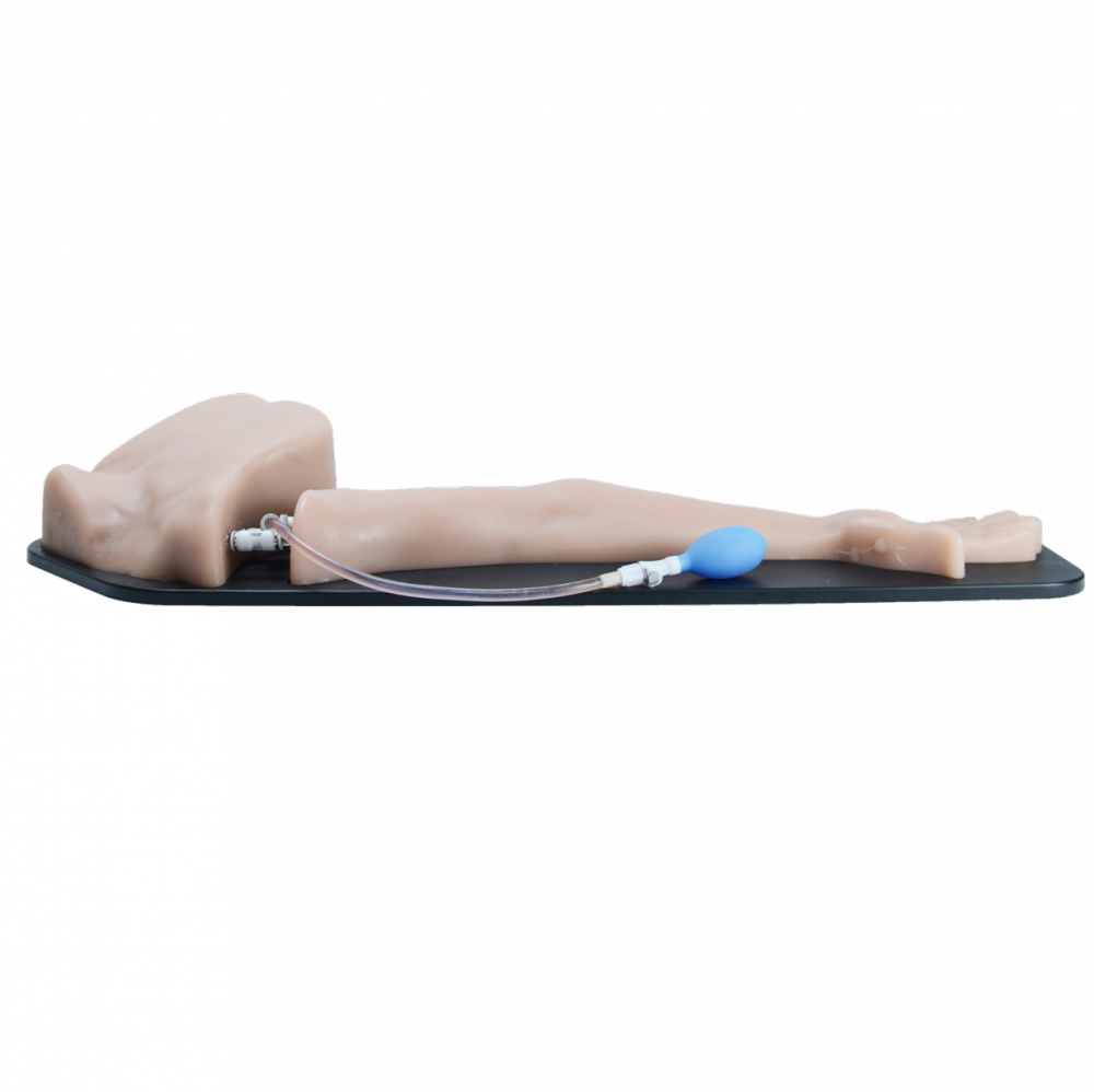 Simulatore Medico ecografabile per PICC, PIV e Accessi Vascolari Arteriosi