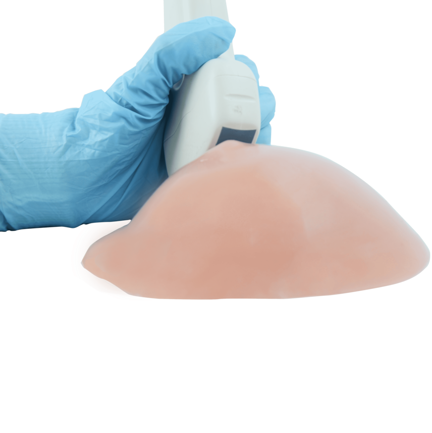 Simulatore Medico ecografabile per addestramento alla biopsia ed elastografia del seno