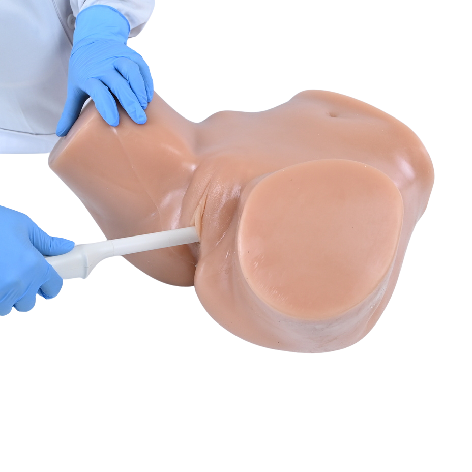 Simulatore Medico ecografabile per addestramento ecografia transaddominale e transvaginale (Patologie Generiche)