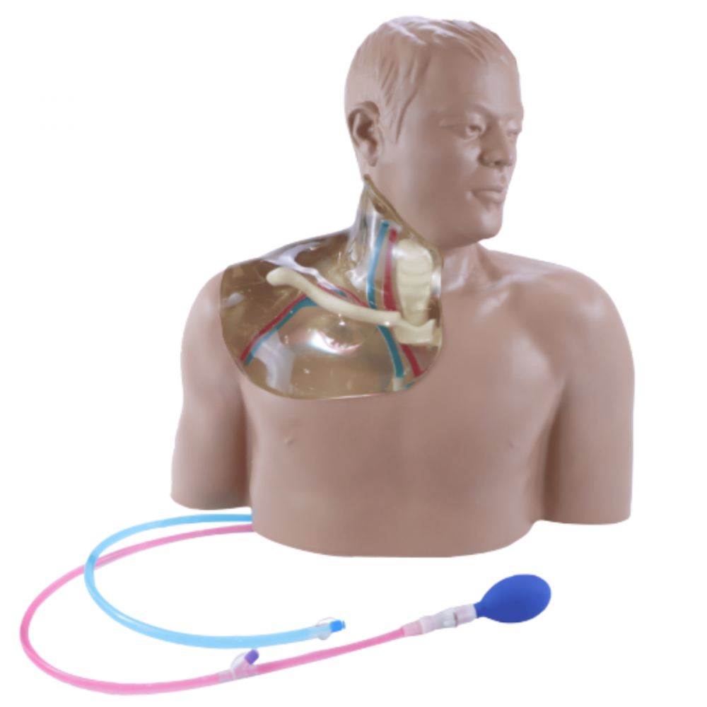 Simulatore Medico per addestramento al posizionamento CVC ecoguidato (trasparente) - manuale