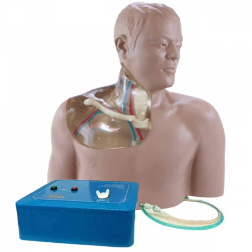 Simulatore Medico per addestramento al posizionamento CVC ecoguidato (trasparente) - automatico