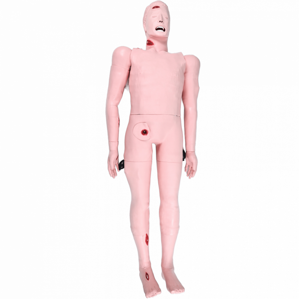 Simulatore paziente traumatizzato con flussi emorragici