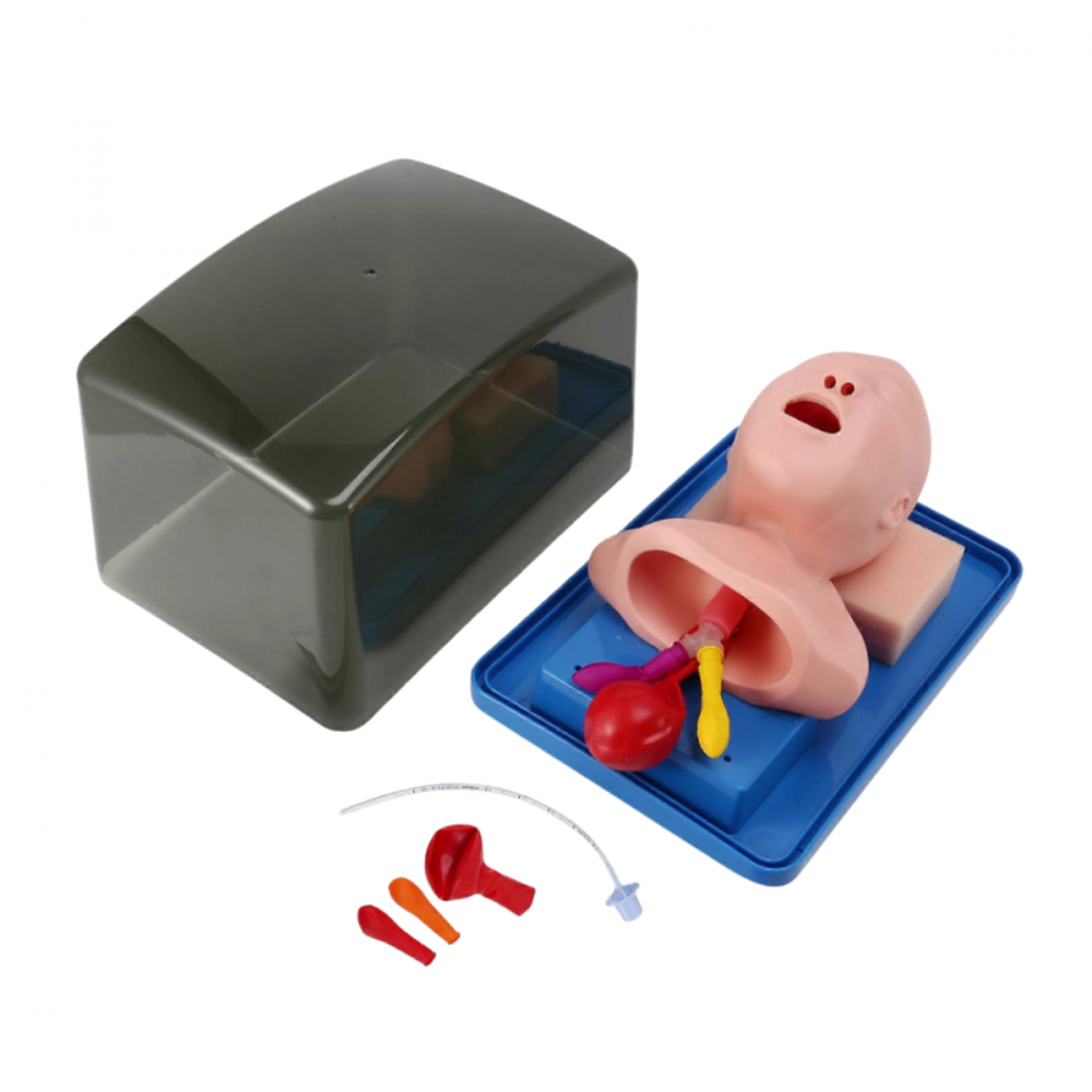 Testa Intubabile neonatale con stand