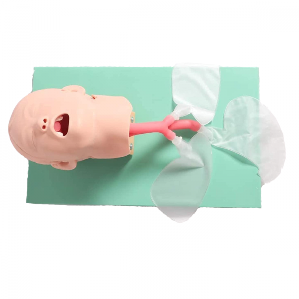 Testa Intubabile pediatrica con stand